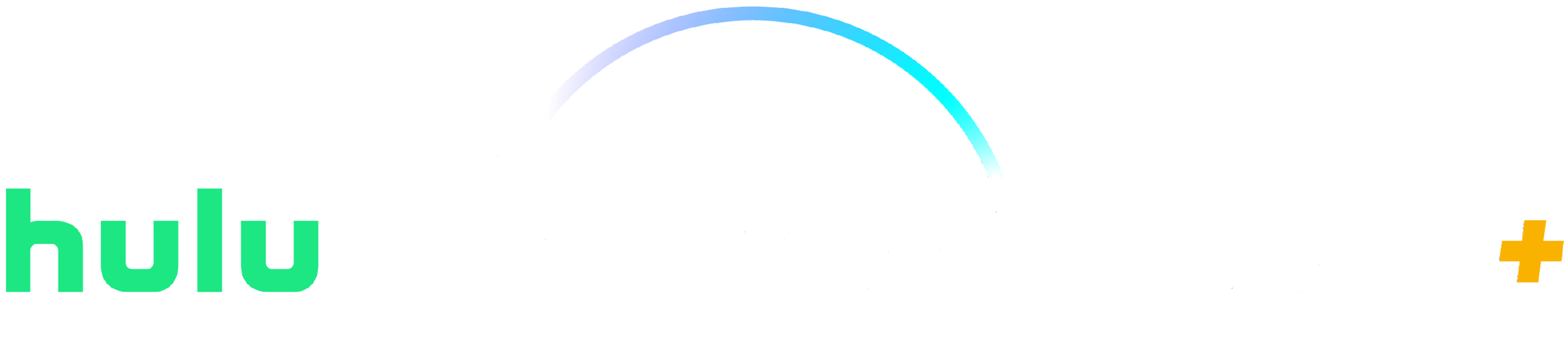 12+ Hulu Disney Plus Bundle Log In